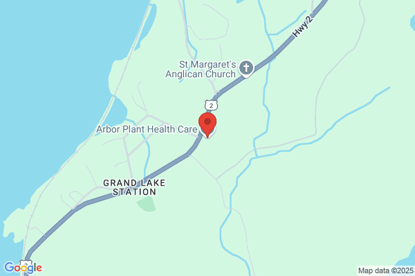 Arbor Plant Health Care