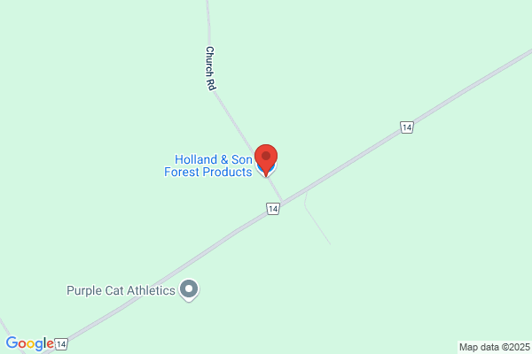 Holland & Son Forest Products