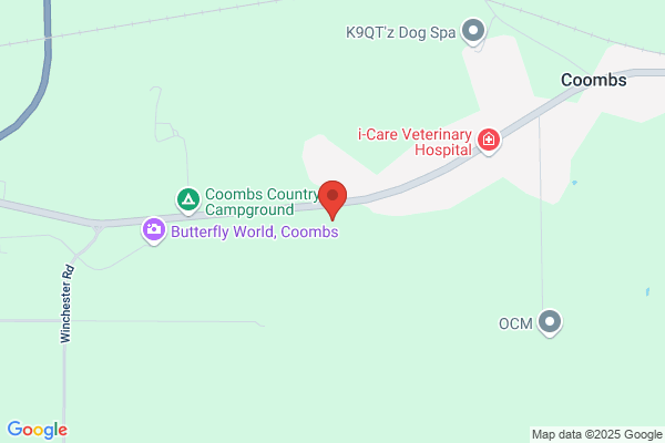 Highway 4 Auto Salvage