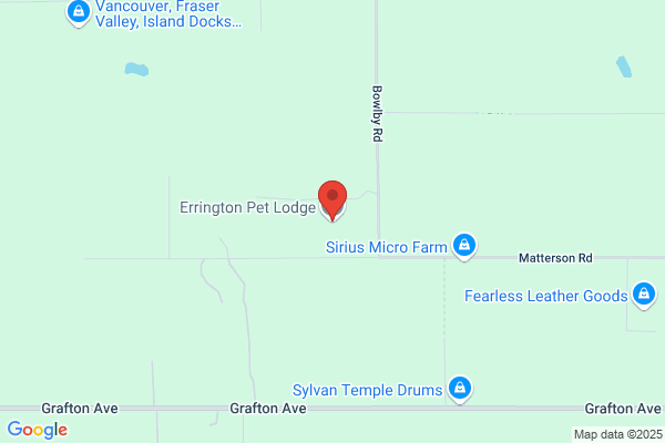 Errington Pet Lodge
