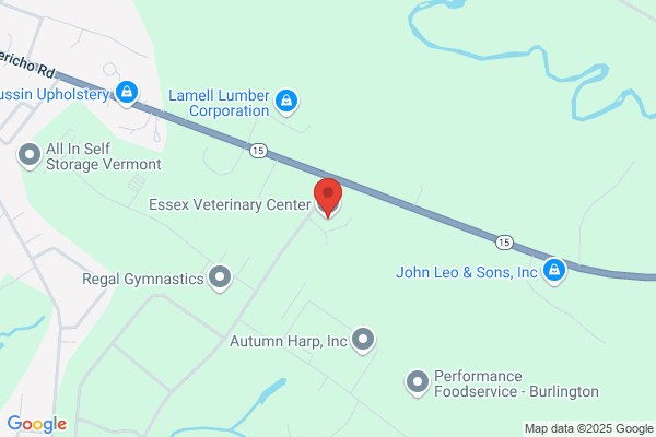 Essex Animal Clinic