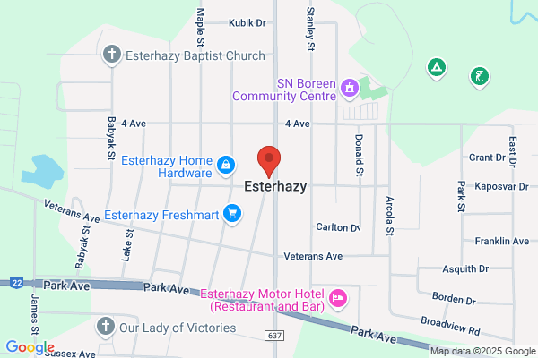Town of Esterhazy