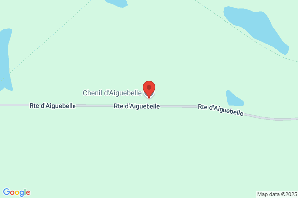 Chenil D'aiguebelle