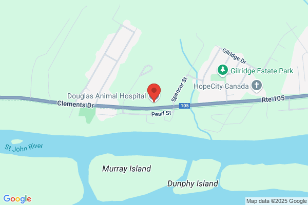 Douglas Animal Hosptial