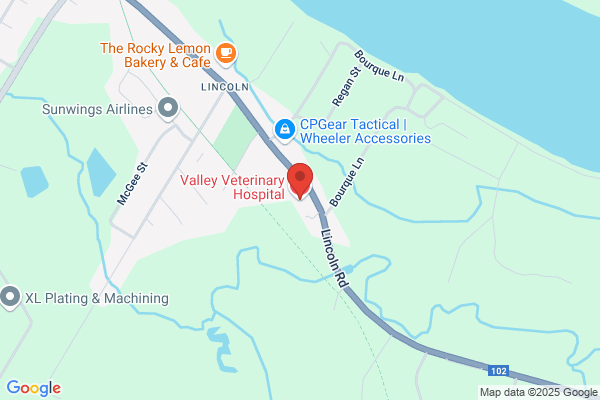 Valley Veterinary Hospital