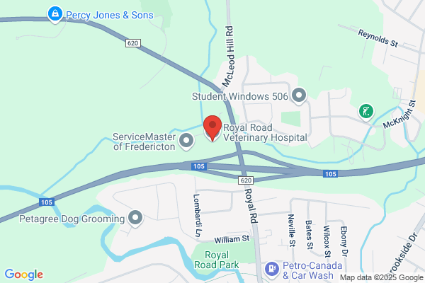 Royal Road Veterinary Hospital Inc