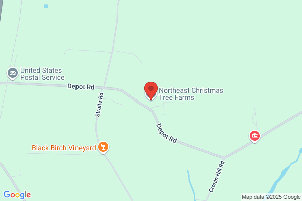 Northeast Christmas Trees & Wreath Producer