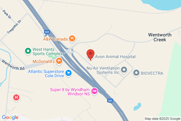 Avon Animal Hospital
