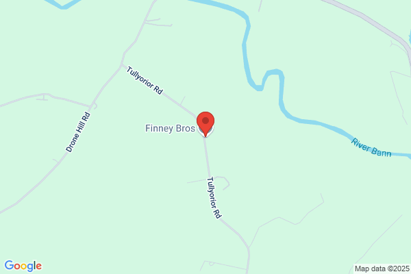 Finney Alf Oil Burner Service