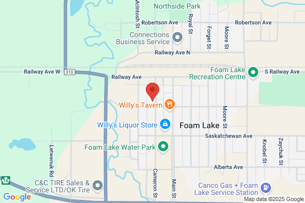 Town of Foam Lake, Library