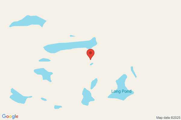 Fogo Island Business Resource Centre, Employment Assistance Services