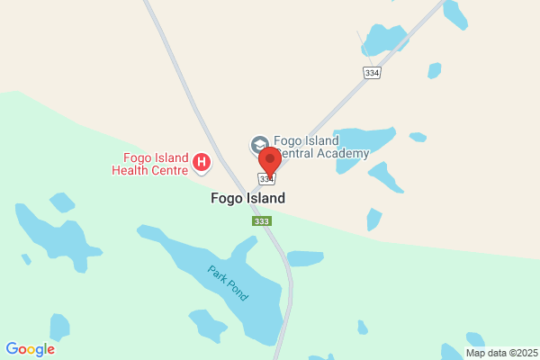 Library-Fogo Public