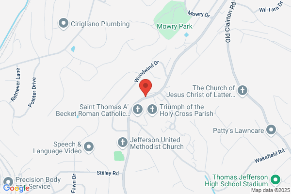 Vincentian Sisters of Charity
