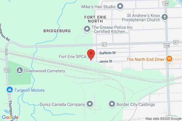 Animal Services, Fort Erie (Town of), Dog Control