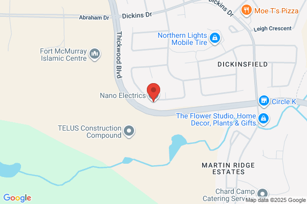 Nano Electrics Inc