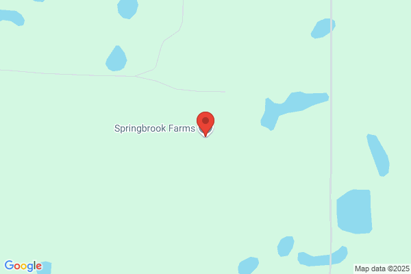 Springbrook Farms Ltd