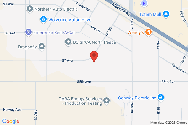 Thompson & Associates Exploration Services Inc