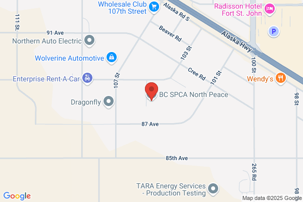 United Empire Way Holdings Inc