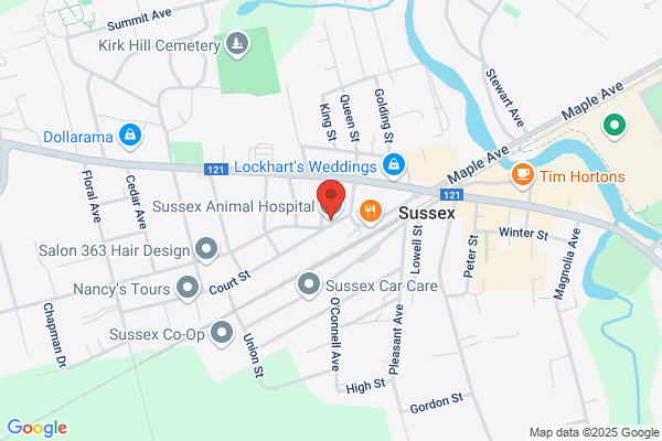 Sussex Animal Hospital