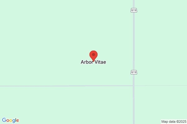 Arbor Vitae Canoes