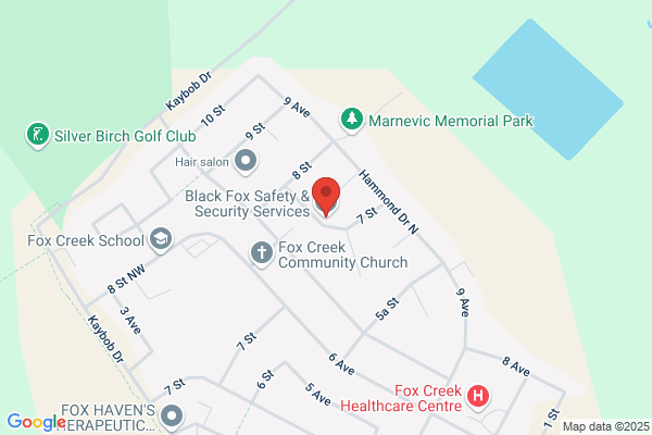 Black Fox Safety & Security Services LTD.