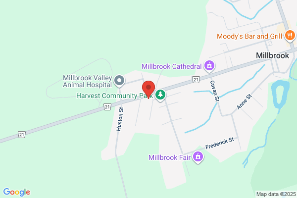Millbrook Dental