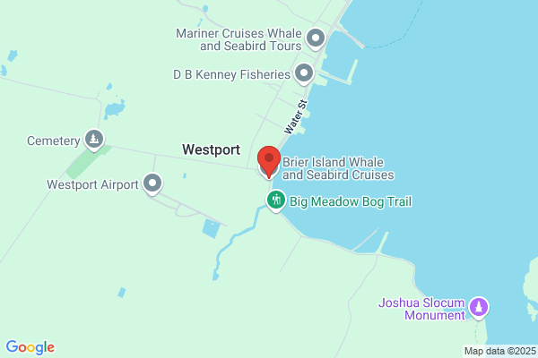 Brier Island Whale & Seabird Cruises Ltd