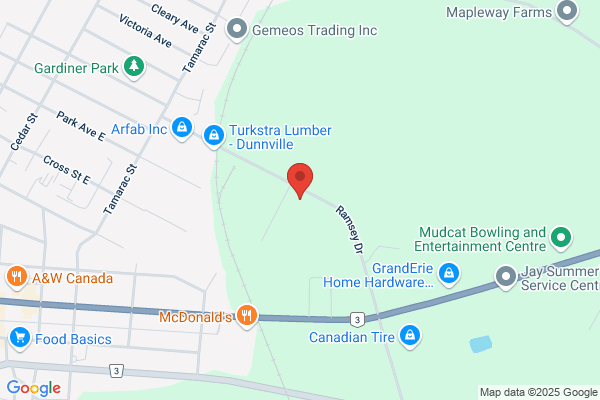 Petro-Canada, Service Stations, Dunville
