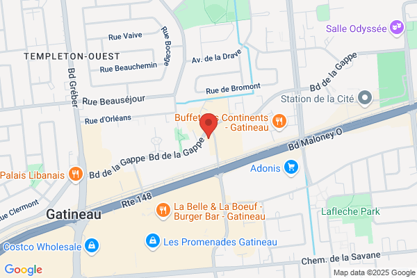 Acupuncture Nathalie Viau