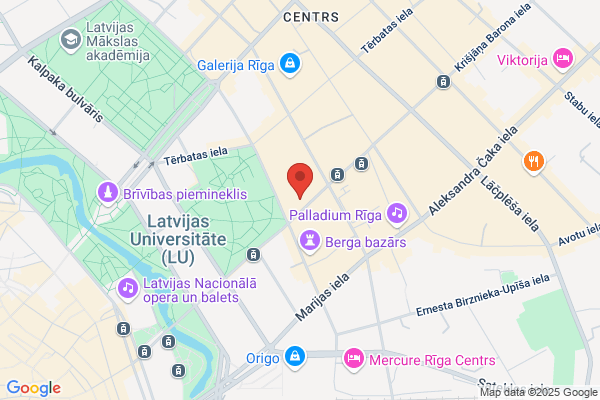 Visa Language Institute