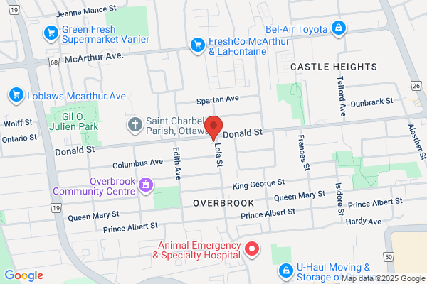 Michele's Ortho Clinic