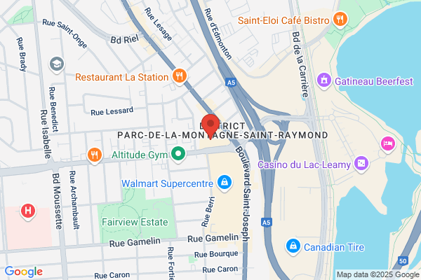 Larocque Anna Remax Vison