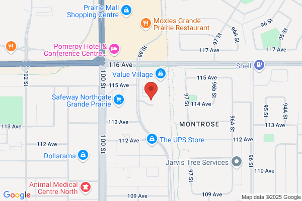 Alberta Motor Association, Travel Services