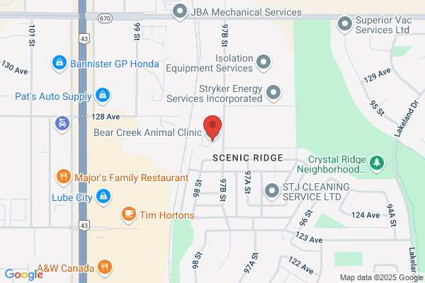 Bear Creek Animal Clinic