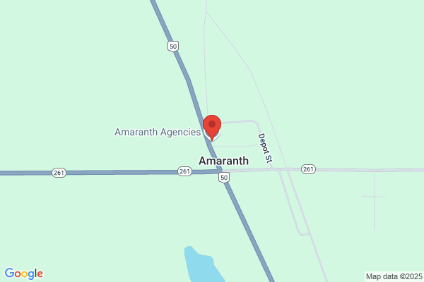 Amaranth Financial Services Inc
