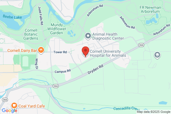 Cornell Animal Hospital