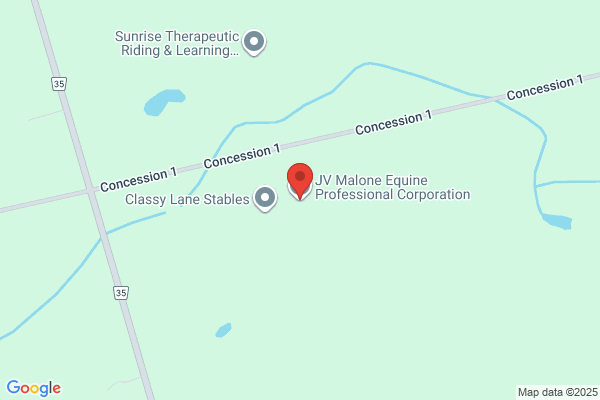 Malone Joseph Dr Vet
