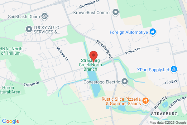 Canadian Bearings Ltd