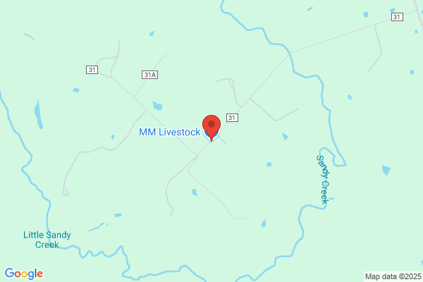 M & M Livestock