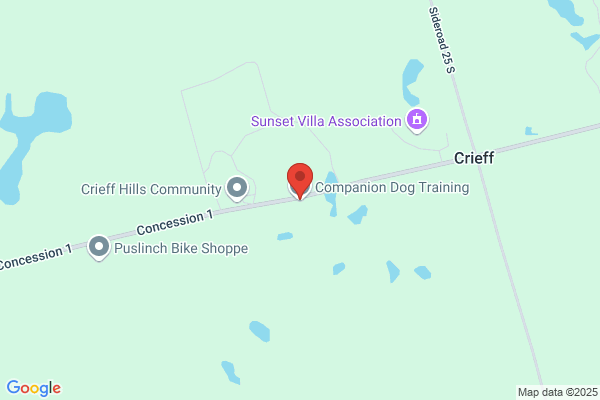 Companion Dog Training