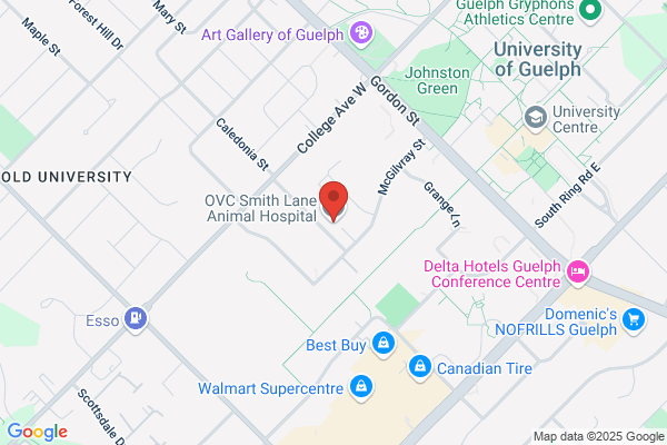 OVC Smith Lane Animal Hospital