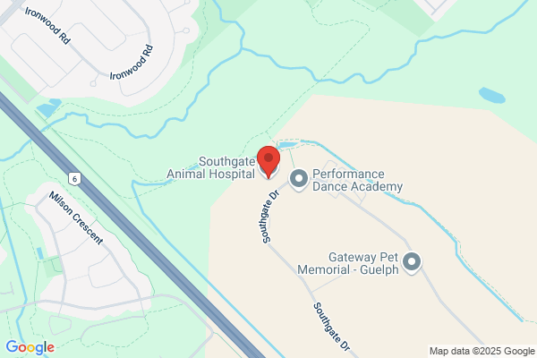 Southgate Animal Hospital