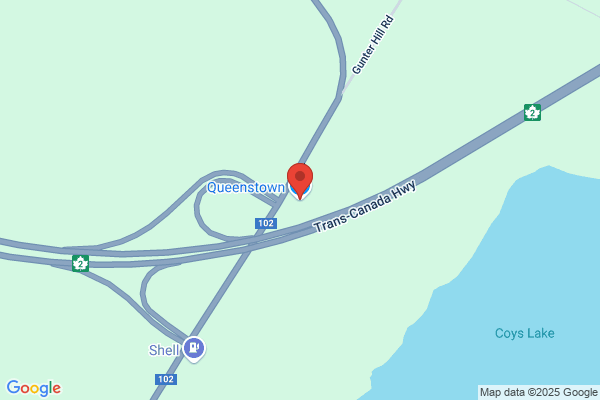 Queenstown Industries Ltd