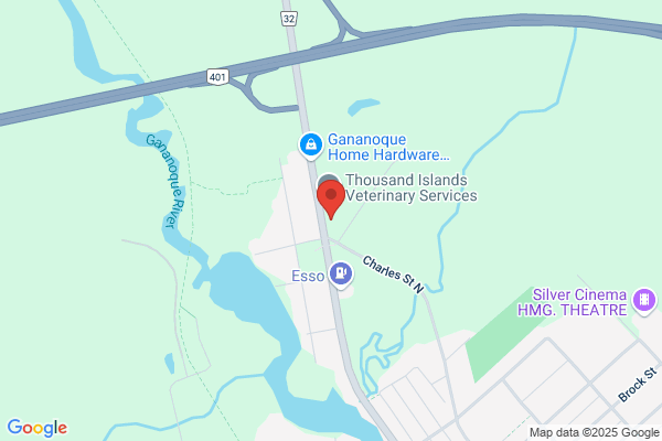 NAPA Auto Parts - NAPA Gananoque