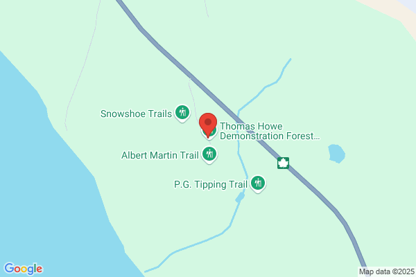 Thomas Howe Forest Foundation Inc