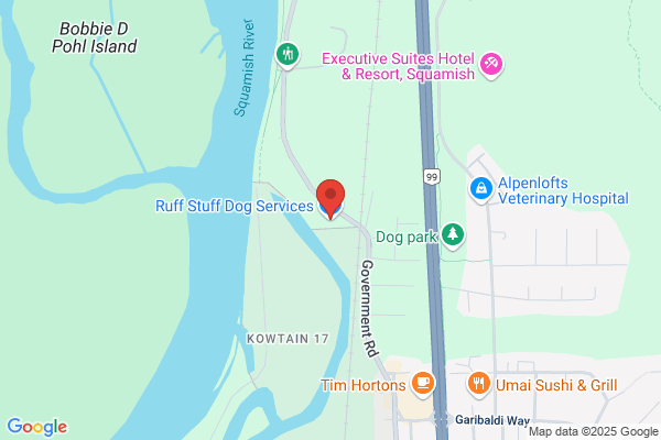 Dog Haus Pet Sitters the Inc