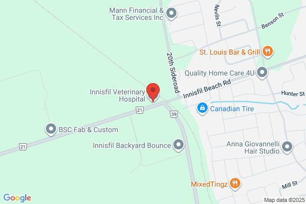 Innisfil Veterinary Hospital