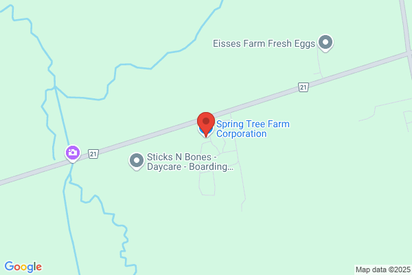 Spring Tree Farm Corp