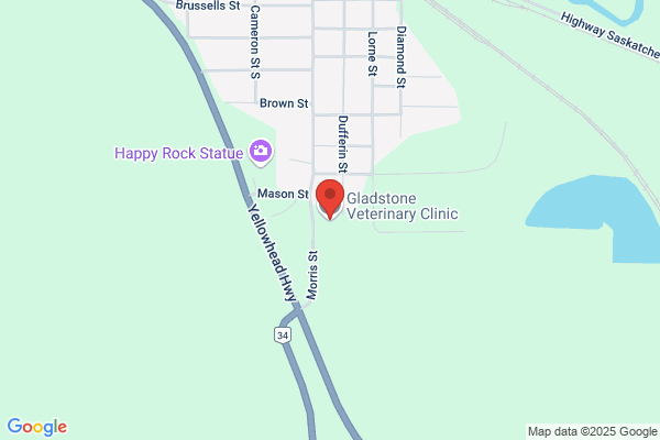 Gladstone Veterinary Clinic