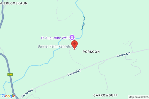 Boxwood Farm Kennels